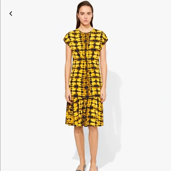 Proenza Schouler Tie Dye Short Sleeve Dress - Picture 1 of 8